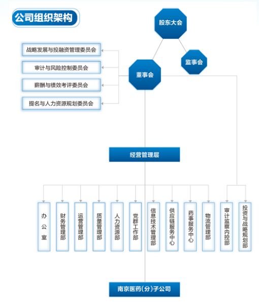 南京医药产业集团组织架构.jpg