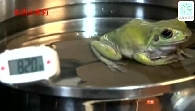 温水煮青蛙 青蛙到死都不会出来吗？