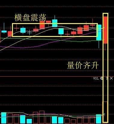 独角兽第一龙头崛起，大股东增持8000万股，本周有望接力金桥信息