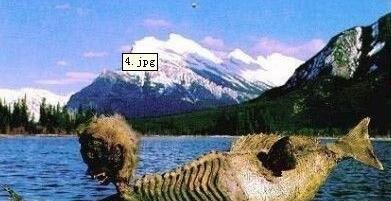 22152739dil2.jpg