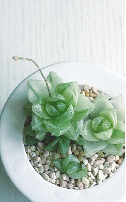 135003uphvf5hccx5eczv5.jpg 135003uphvf5hccx5eczv5.jpg