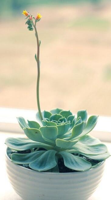 135003jzz0y3pmmmhv8mu3.jpg 135003jzz0y3pmmmhv8mu3.jpg