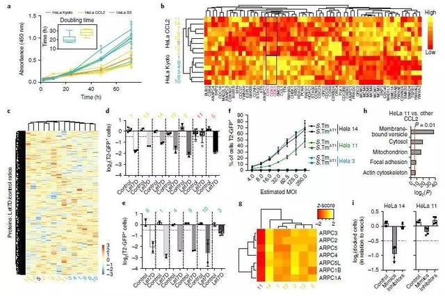 新發(fā)現(xiàn)！數(shù)十萬(wàn)篇科研文章結(jié)果難以重復(fù)，究竟為何？