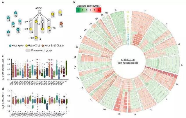 新發(fā)現(xiàn)！數(shù)十萬(wàn)篇科研文章結(jié)果難以重復(fù)，究竟為何？