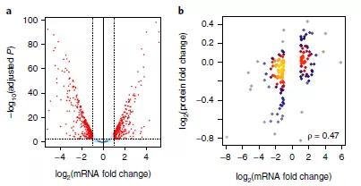 新發(fā)現(xiàn)！數(shù)十萬(wàn)篇科研文章結(jié)果難以重復(fù)，究竟為何？