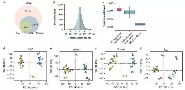 新發(fā)現(xiàn)！數(shù)十萬(wàn)篇科研文章結(jié)果難以重復(fù)，究竟為何？
