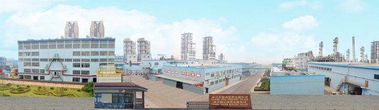 錦雞股份子公司泰興錦云染料有限公司