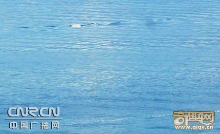 新疆赛里木湖现10米不明生物 水怪传闻已久