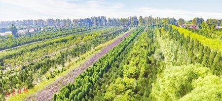 農(nóng)業(yè)科技