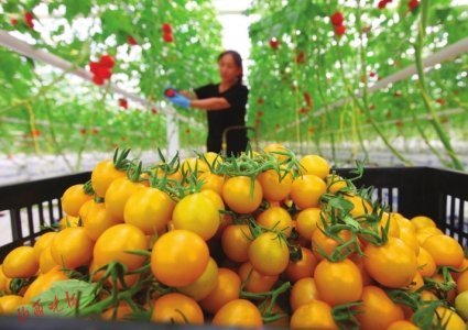 農(nóng)業(yè)科技