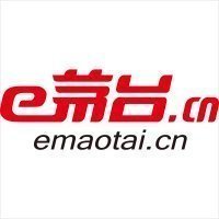 茅臺電商公司解散，茅臺電商公司簡介