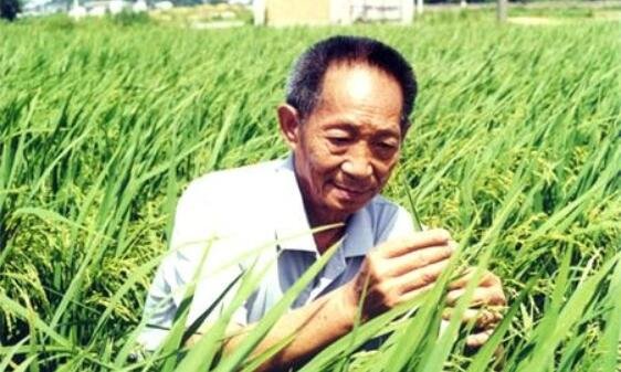 袁隆平四4個(gè)奇跡.jpg