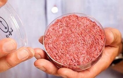 人造肉國(guó)標(biāo)將出臺(tái)產(chǎn)生的影響