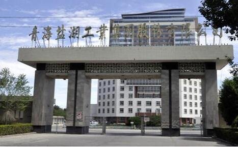 青海鹽湖工業(yè)股份有限公司