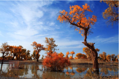 塔里木發(fā)現(xiàn)石油