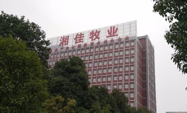 湘佳股份中簽率.jpg 湘佳股份中簽率.jpg