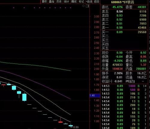 *ST銀鴿暴跌淪為“仙股” 又遭證監(jiān)會(huì)立案調(diào)查！中植系再踩一雷？