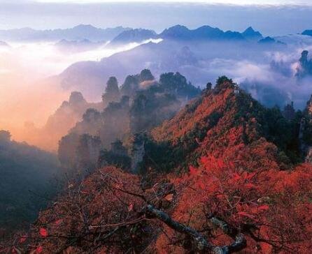 旅游.jpg 旅游.jpg