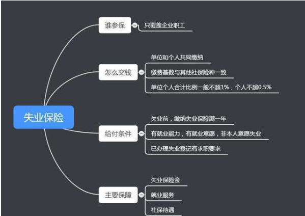 失業(yè)保險(xiǎn)簡介.png