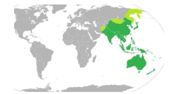 什么是亚太地区，亚太地区具体包含哪些国家？