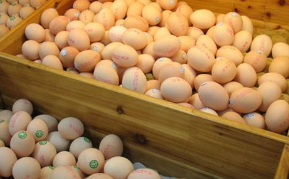 雞蛋期貨.png