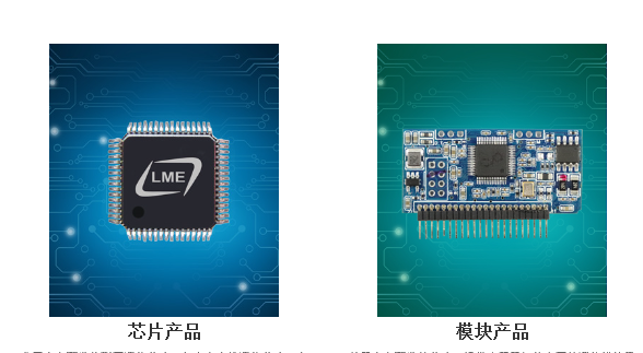 芯片產(chǎn)品.png 芯片產(chǎn)品.png