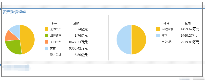 爱博医疗资产负债.png