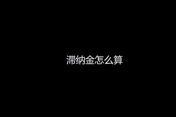 滞纳金是什么意思?滞纳金怎么算?