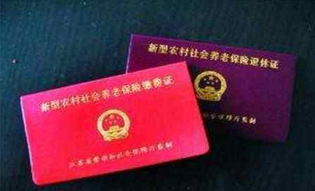 農(nóng)村養(yǎng)老保險(xiǎn)領(lǐng)取標(biāo)準(zhǔn).png 農(nóng)村養(yǎng)老保險(xiǎn)領(lǐng)取標(biāo)準(zhǔn).png