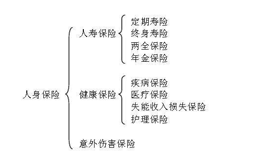 人身保險的分類.png