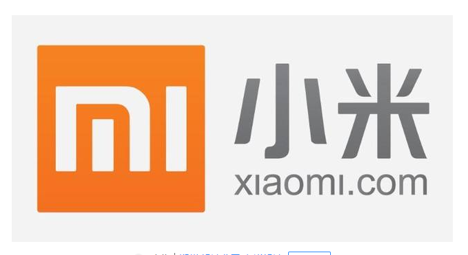 雷軍被質(zhì)疑是假程序員