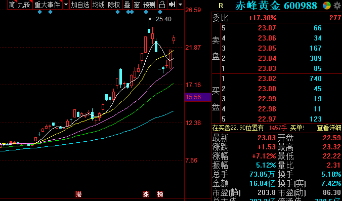 巴菲特罕见建仓黄金股