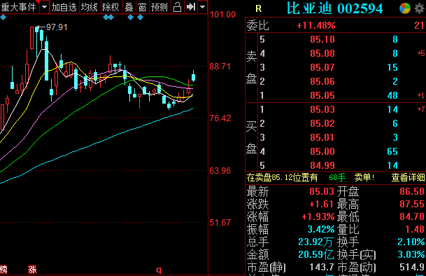 新能源車板塊迎來漲停潮