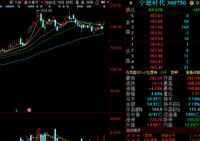 新能源車板塊迎來漲停潮