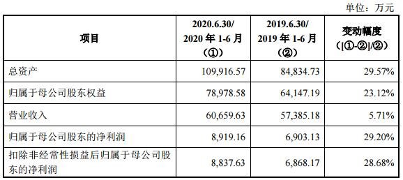 司 2020 年 1-6 月合并财务报表主要项目.jpg