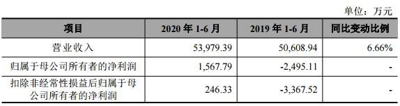 2020 年 1-6 月的主要財務(wù)數(shù)據(jù)及經(jīng)營情況.jpg
