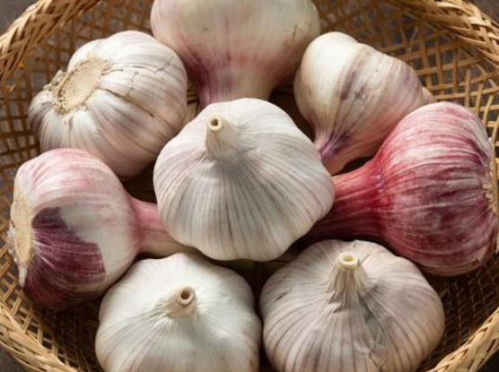 新蒜.png 新蒜.png