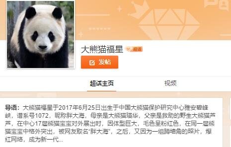 大熊猫福星超话.jpg