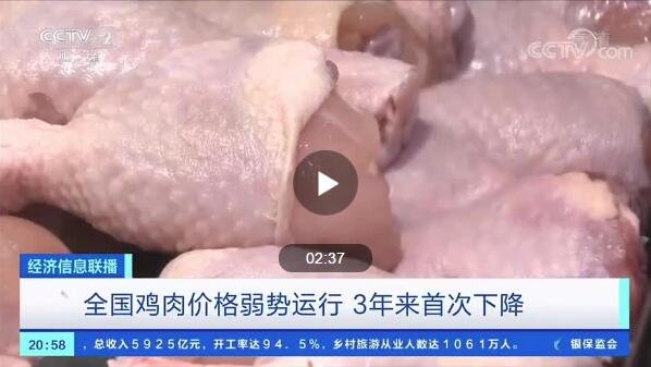 全國雞肉價格三年首降.jpg