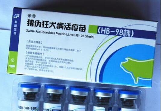 豬疫苗上市公司.jpg
