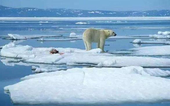 气候变暖对全球气候的影响_科学家称气候变暖或致北极病毒溢出_气候变暖北极