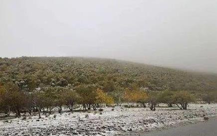 下半年以來最冷早晨將至  .jpg