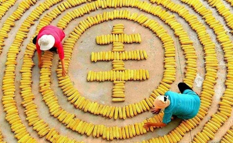 中國農(nóng)民豐收節(jié) .jpg 中國農(nóng)民豐收節(jié) .jpg