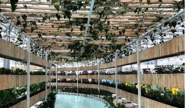 中國農(nóng)民豐收節(jié) .jpg 中國農(nóng)民豐收節(jié) .jpg