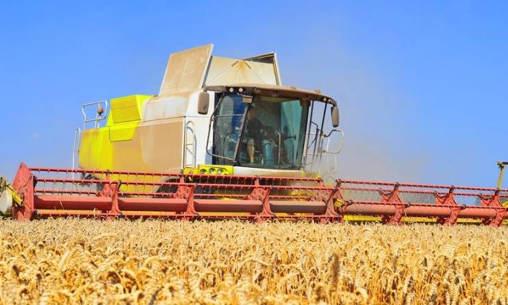 中國需要擔(dān)心糧食危機(jī)嗎  .jpg