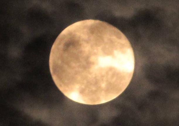 今年中秋月十五的月亮十六圓 .jpg