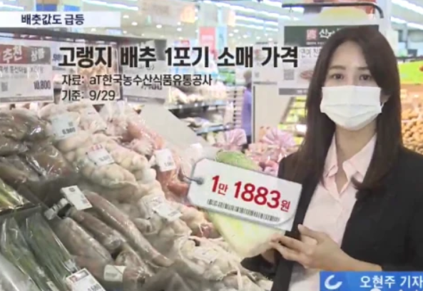 白菜漲價(jià).png 白菜漲價(jià).png