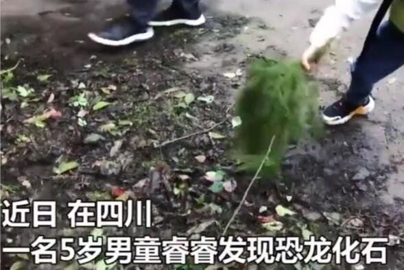 甚至不少小朋友的玩具都有恐龙的,近日,四川5岁小男孩发现恐龙足迹,一