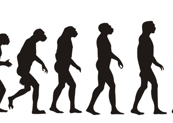 研究:人类正加速进化是怎么回事,人类加速进化到什么程度了