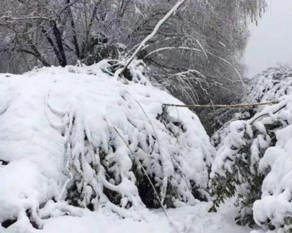 萬(wàn)里雪飄.png 萬(wàn)里雪飄.png